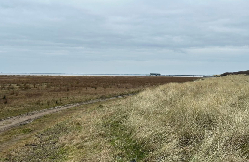 Southport's Golden Sands - now overgrown
