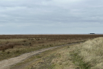 Southport Beach - is there time to save it?