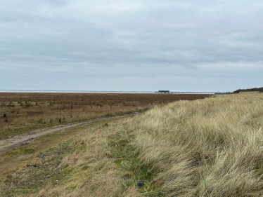 Southport's Golden Sands - now overgrown