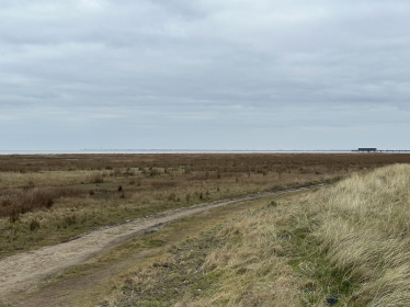 Southport Beach - is there time to save it?